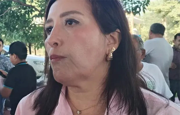 Har&aacute;n estudio para dar m&aacute;s concesiones de taxis