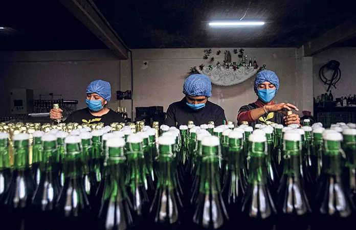 Sidra, la tradicional bebida de temporada