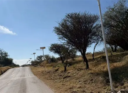Mejoran iluminación y condiciones del camino de acceso a Arroyos Mejoran iluminación y condiciones del camino de acceso a Arroyos
