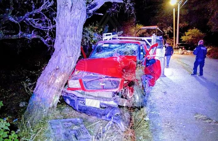 Se estampa camioneta contra árbol; un herido
