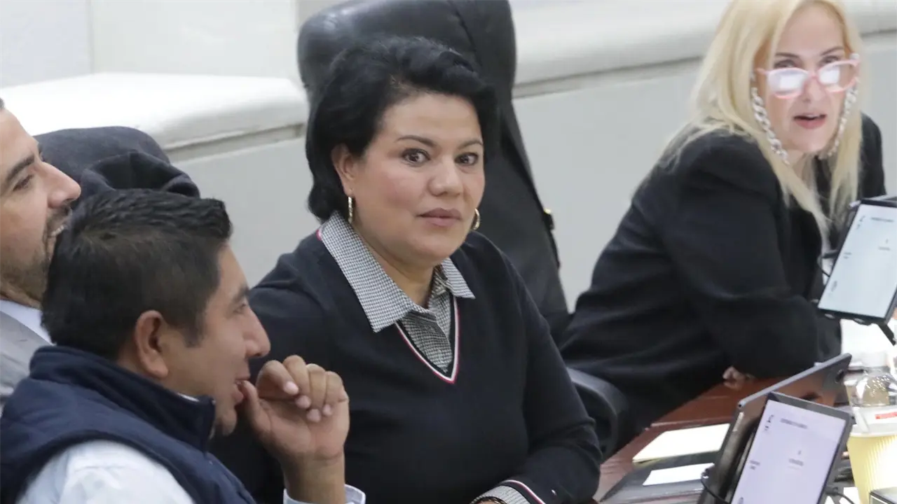 Mireya Vancini, diputada.