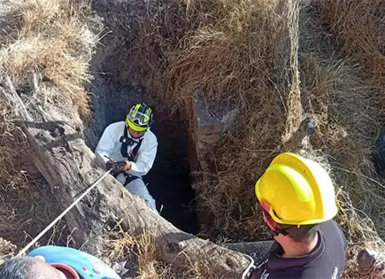 Rescatan a un perrito de pozo, ya sin vida