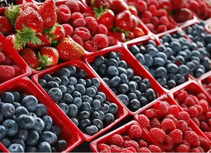 Caen las exportaciones agrícolas mexicanas Caen las exportaciones agrícolas mexicanas