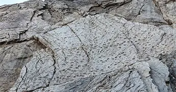 Fot&oacute;grafo halla miles de huellas de dinosaurios