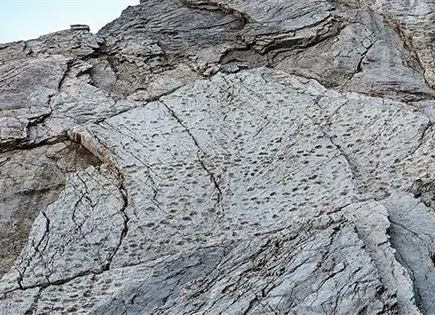 Fotógrafo halla miles de huellas de dinosaurios Fotógrafo halla miles de huellas de dinosaurios