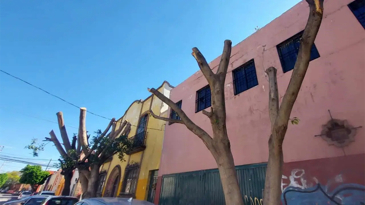 Foto: Omar Hernández/Pulso