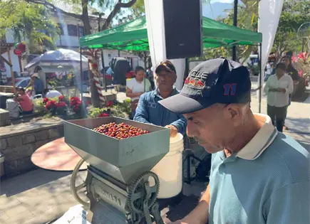 Impulsarán Ruta del Café en la Huasteca Impulsarán Ruta del Café en la Huasteca