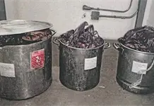 Mujer intentó ingresar marihuana a penal en ollas con comida Mujer intentó ingresar marihuana a penal en ollas con comida