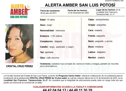 Activan Alerta Amber por desaparici&oacute;n de adolescente en Tamazunchale