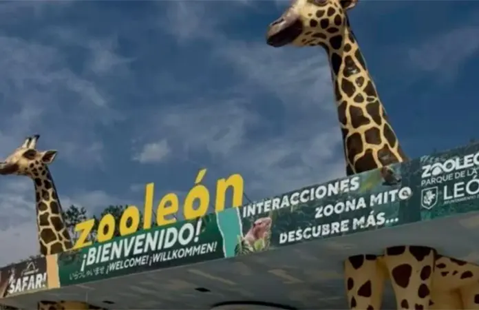 Clausura temporal del Zoológico de León por maltrato animal