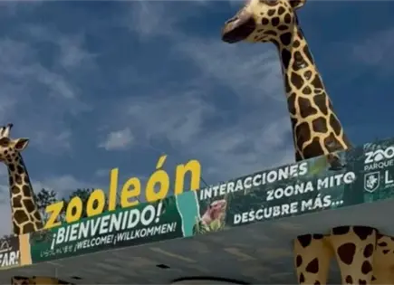 Clausura temporal del Zoológico de León por maltrato animal Clausura temporal del Zoológico de León por maltrato animal