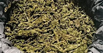 Le dan sentencia por meter marihuana al Penal de La Pila