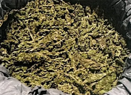 Le dan sentencia por meter marihuana al Penal de La Pila