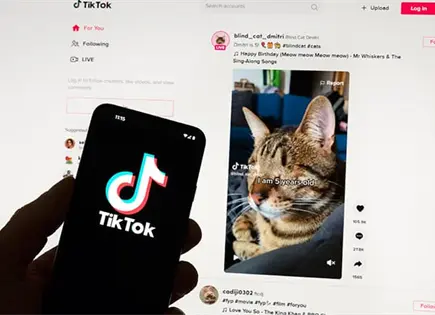 TikTok forma empresa conjunta en EU