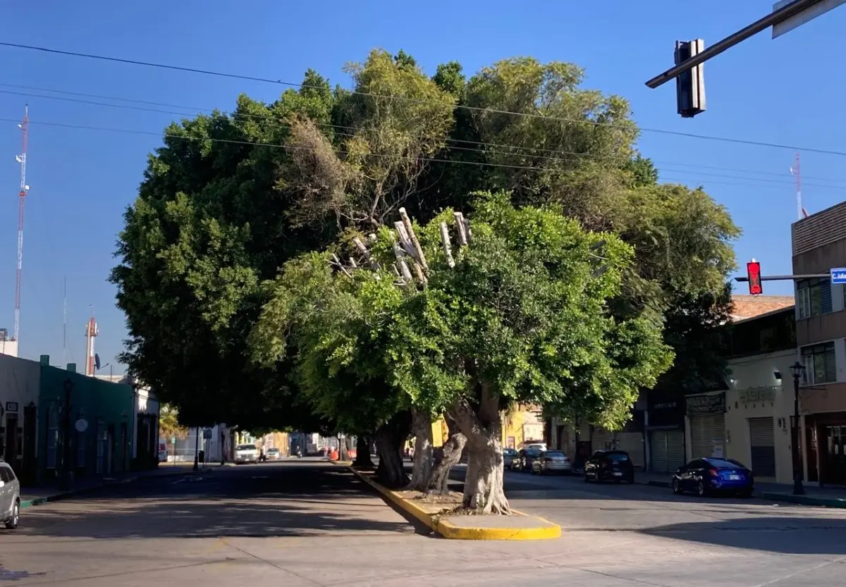 Foto: Alberto Martínez/Pulso