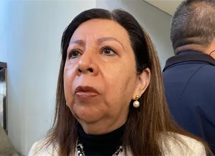 Registro nacional de desaparecidos no es confiable: García Cázares Registro nacional de desaparecidos no es confiable: García Cázares