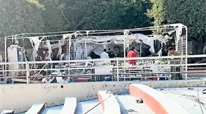 Reportan explosi&oacute;n en un tianguis navide&ntilde;o