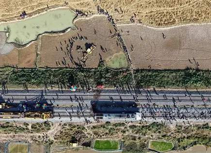 Tren de pasajeros mata a 7 elefantes en India