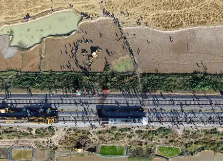 Tren mata a 7 elefantes que cruzaban las v&iacute;as