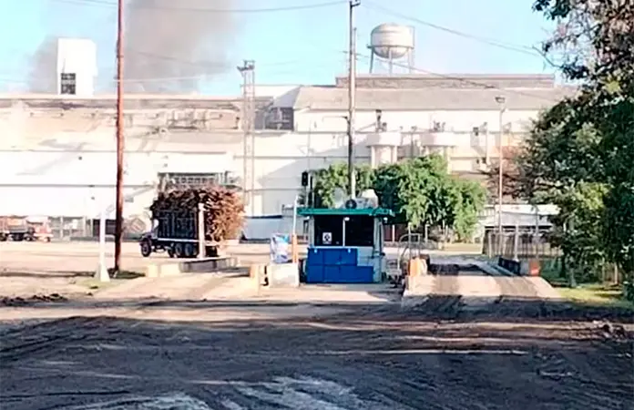 Inicia el IPA molienda con buenos augurios