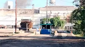 Inicia el IPA molienda con buenos augurios