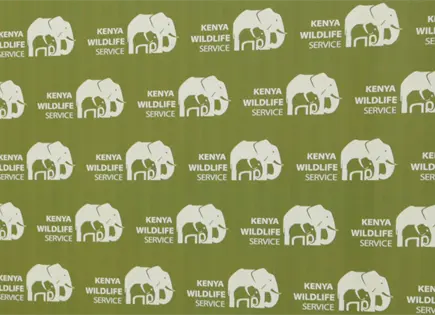 Conflicto entre elefantes y humanos en Kenia: cuatro muertes en una semana