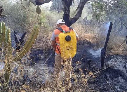 Autoridades de Bocas atienden incendios en pastizales