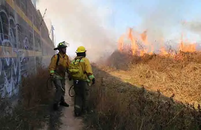 Impactan incendios forestales en Bocas