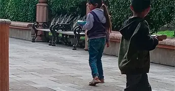 Abundan pedig&uuml;e&ntilde;os en cruceros