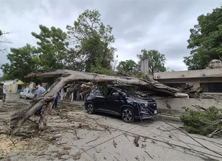 Fotos | Pega entrada de Frente Fr&iacute;o 25 en Ciudad Valles