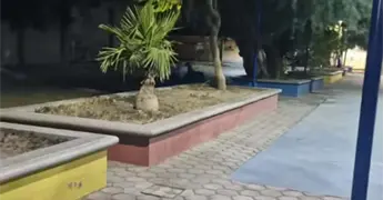 Habitantes evitan que hombre se suicidara