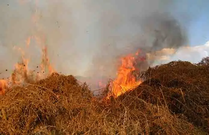 Ignora la autoridad causa del incendio en la Col. Matamoritos
