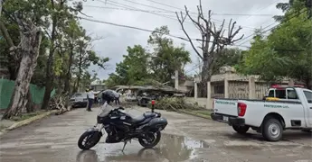 &Aacute;rboles ca&iacute;dos y cortes de luz por Frente 25 en Ciudad Valles 