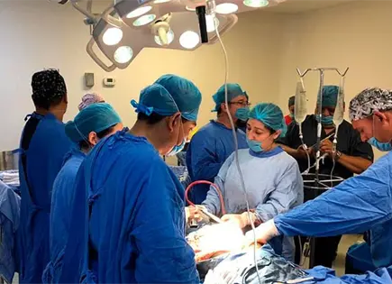 Promoverán la donación de órganos Promoverán la donación de órganos