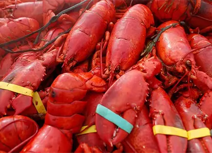 Roban ostras y cangrejo valuados en 400 mdlls.