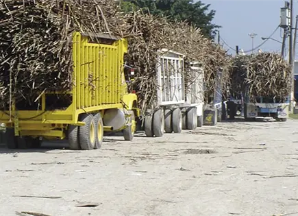 Ven riesgos en ingenios