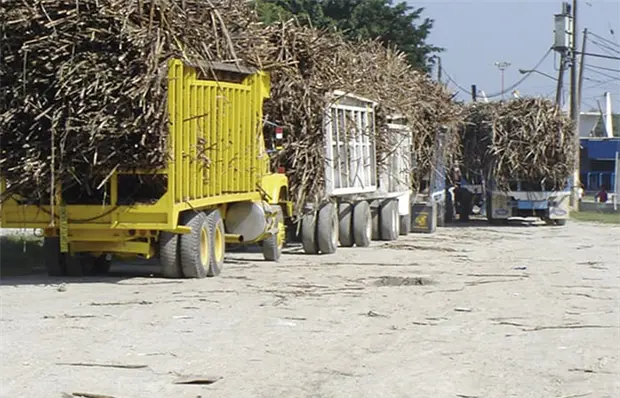 Ven riesgos en ingenios