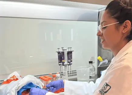 Investigaci&oacute;n en SLP abre nuevas pistas contra enfermedades del coraz&oacute;n