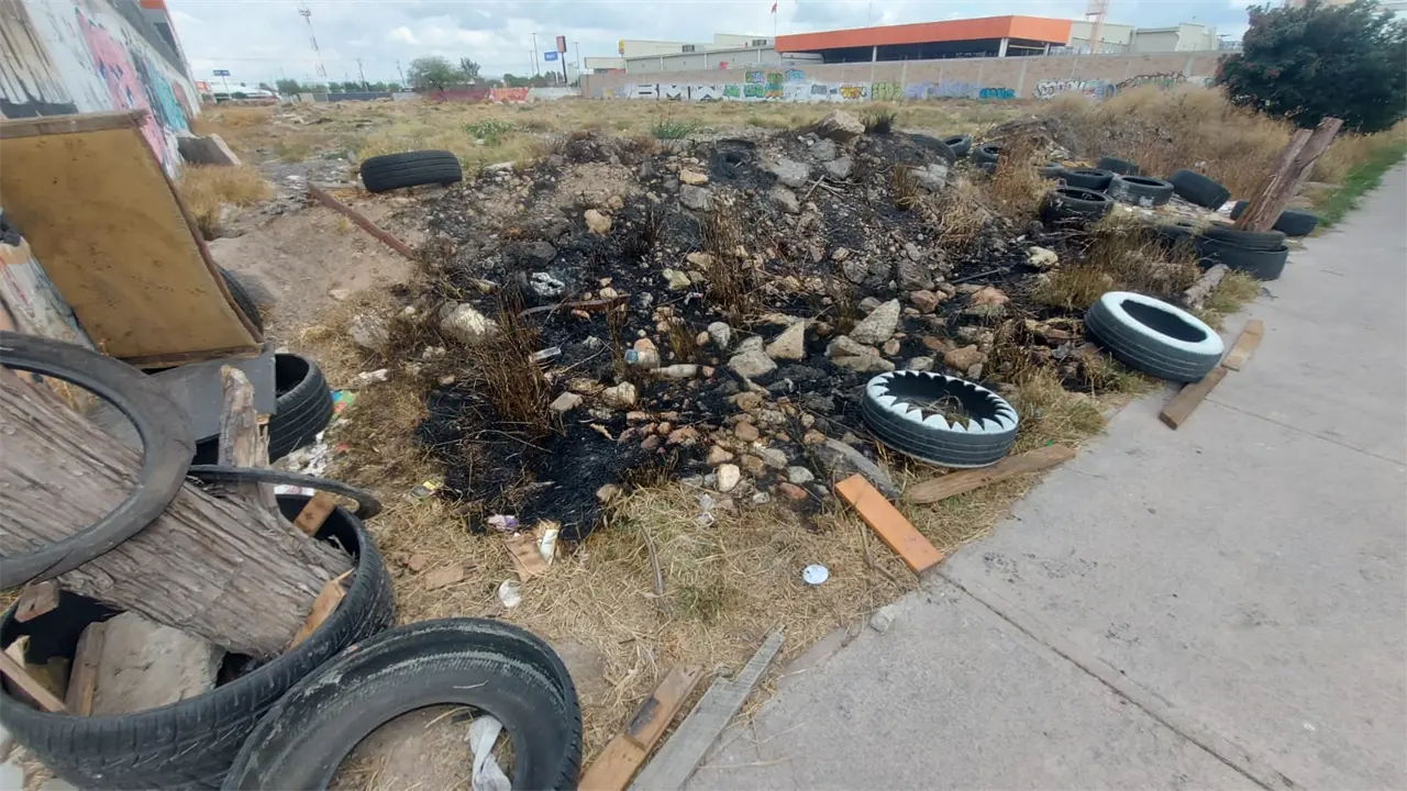 Foto: Omar Hernández/Pulso