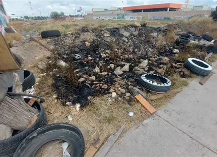 Prev&eacute;n eliminar 12 tiraderos clandestinos en la capital