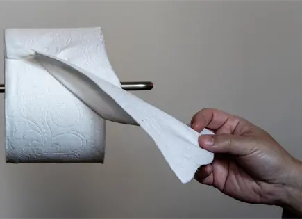 El papel higi&eacute;nico ecol&oacute;gico y su impacto ambiental