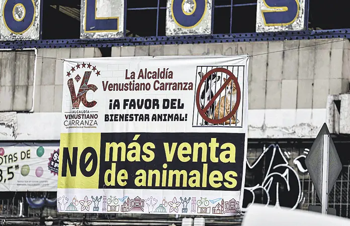 Fin a venta de animales en Mercado de Sonora