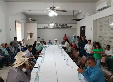 Temen infestación incontrolable del gusano barrenador Temen infestación incontrolable del gusano barrenador