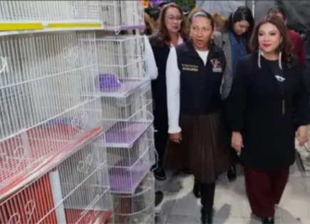 Tras casi 70 a&ntilde;os, termina venta de animales en el Mercado de Sonora