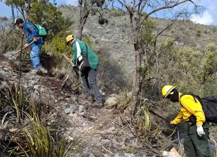 Conafor alerta sobre temporada agresiva de incendios forestales 2026