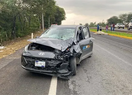 Chocan compacto y vaca en la Valles–Rioverde