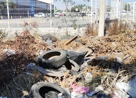 Hasta 200 UMA’s pagará quien inicie tiraderos clandestinos