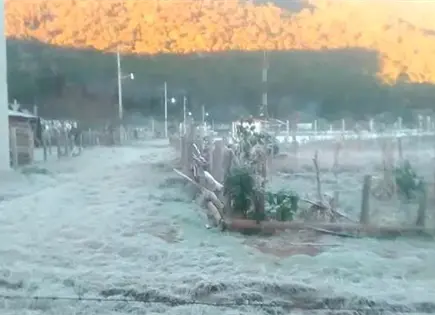 Nieve y heladas activan alerta en sierras potosinas