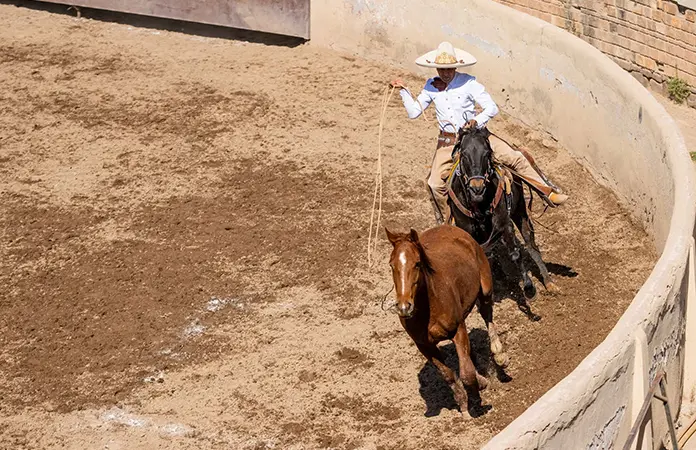 Programan una gran charreada dominical