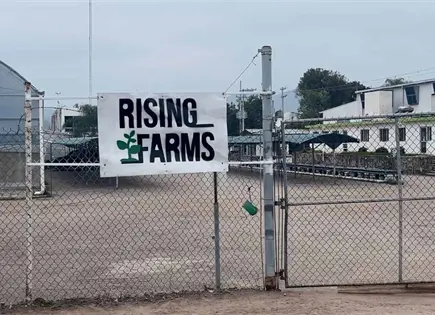 Trabajadores de Rising Farms protestan por falta de pago